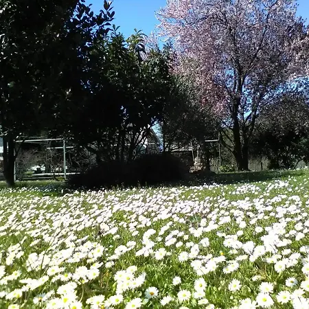 Carunei Bed & Breakfast