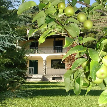 Carunei Bed & Breakfast