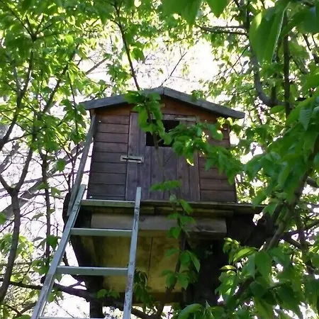 Carunei Bed & Breakfast *