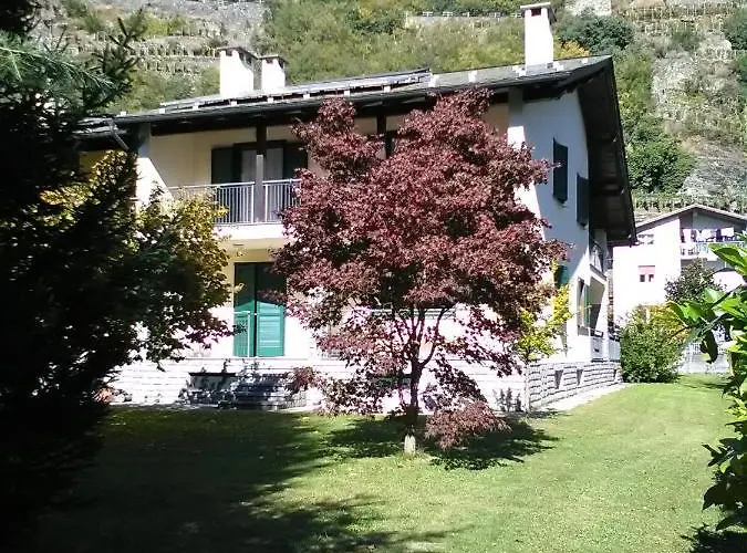 Carunei * 포지리덴티