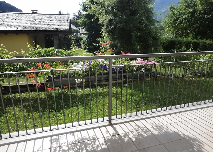 Carunei 포지리덴티