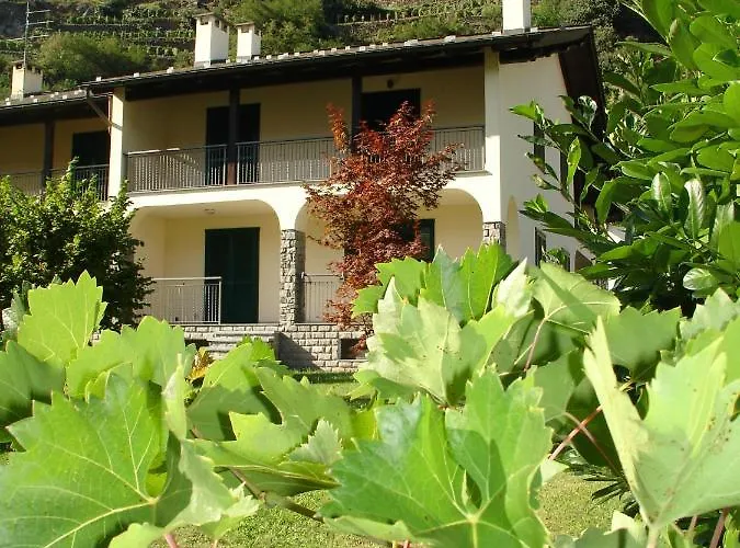 Carunei