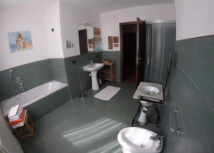 Carunei 포지리덴티