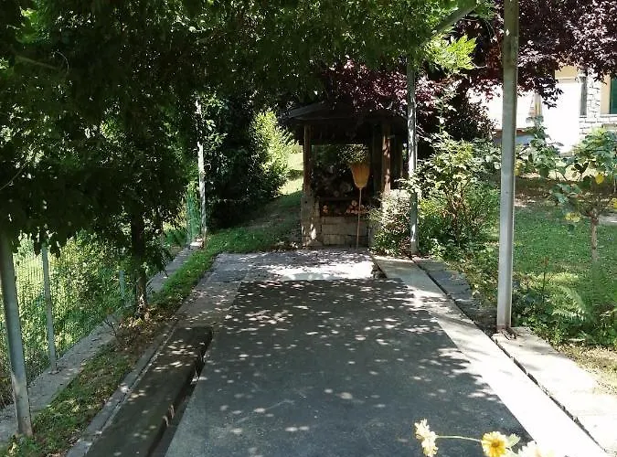 Carunei * 포지리덴티