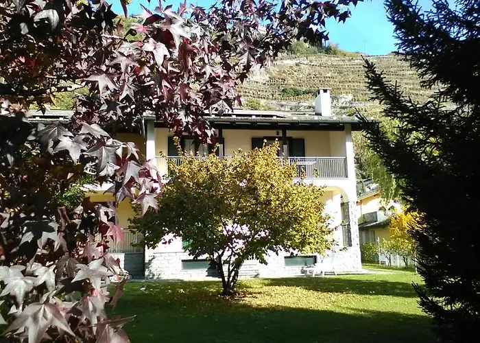 Carunei * 포지리덴티