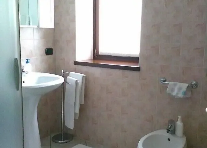 Carunei 포지리덴티