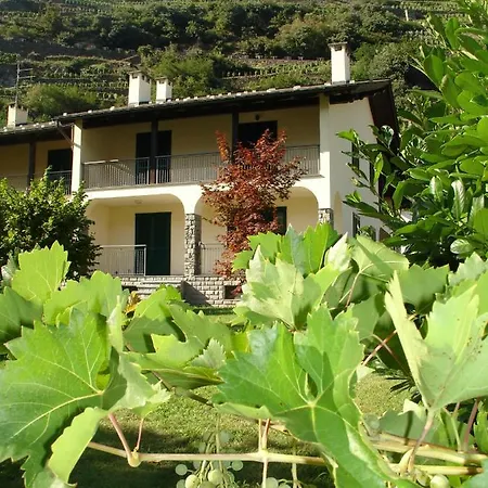 Carunei